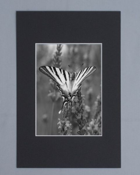 Cadre Photo avec Passe-Partout Noir pour Image 48x68 cm ou 68 x 48
